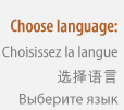 Choose language